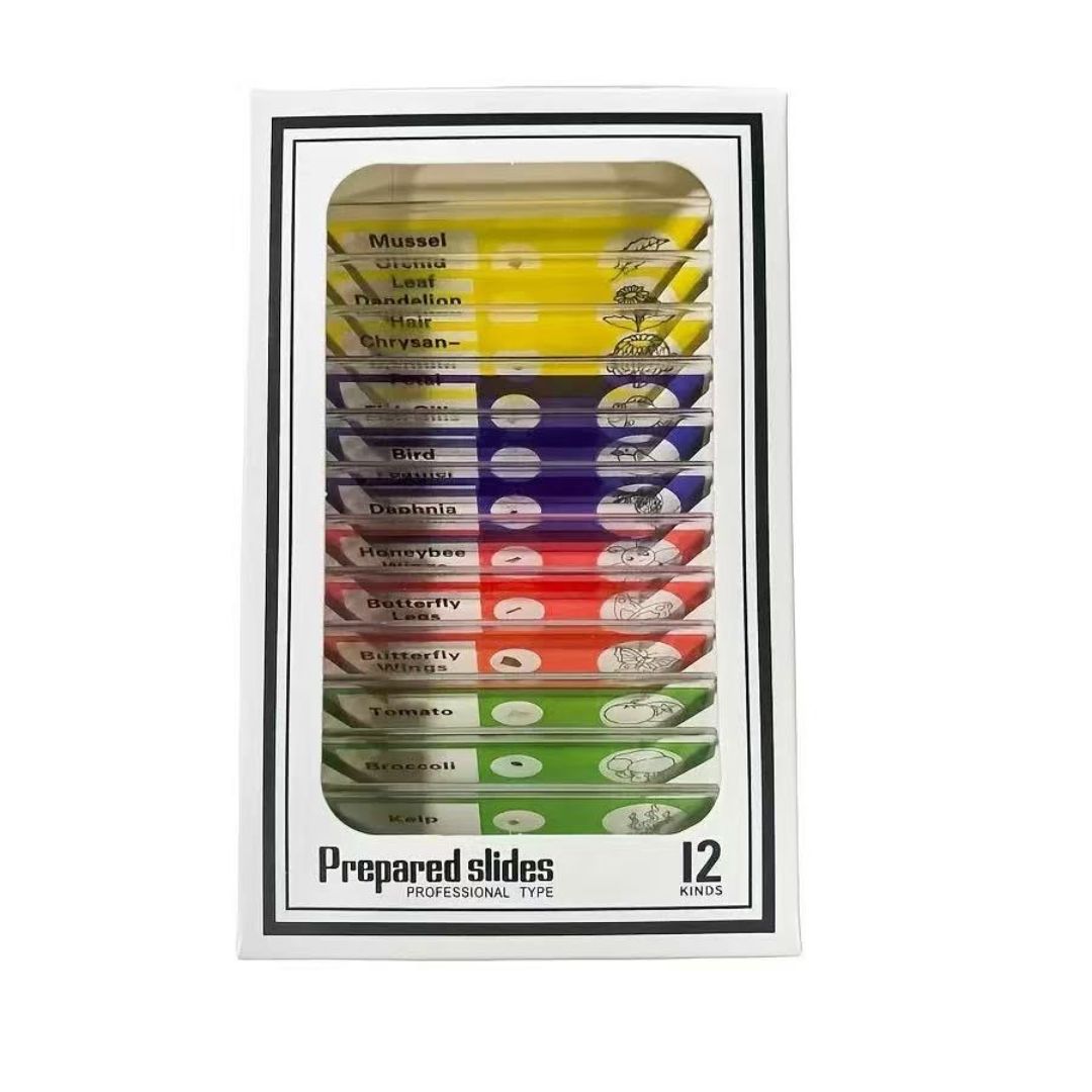 Dolcate Discovery Slides™