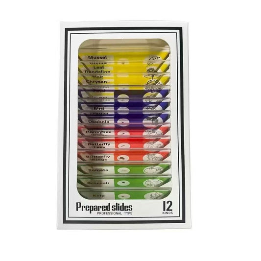 Dolcate Discovery Slides™